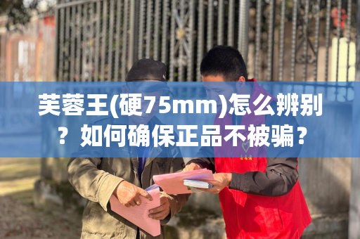 芙蓉王(硬75mm)怎么辨别？如何确保正品不被骗？